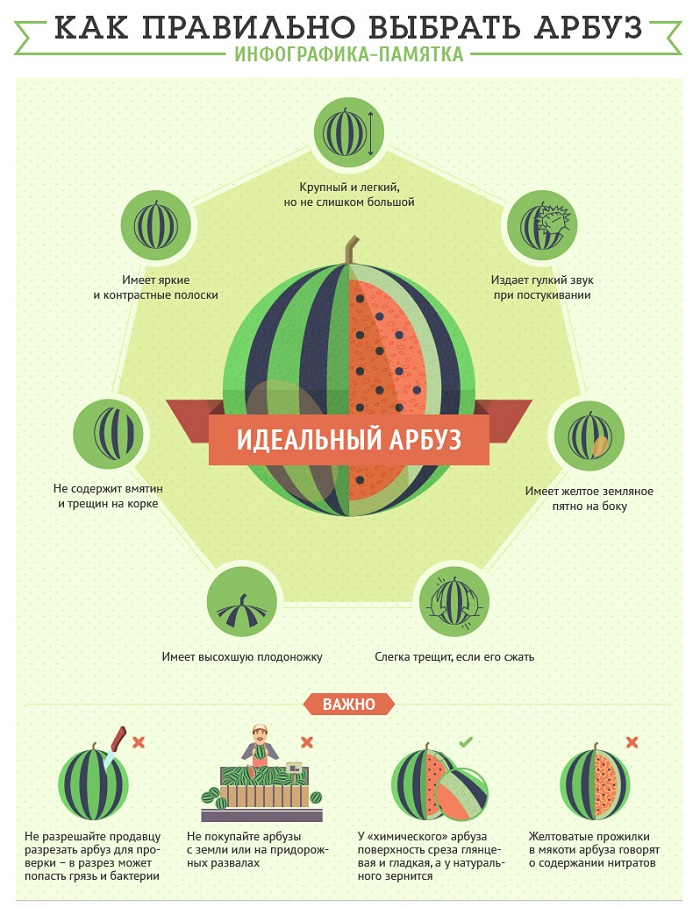 Памятка как правильно выбрать арбуз