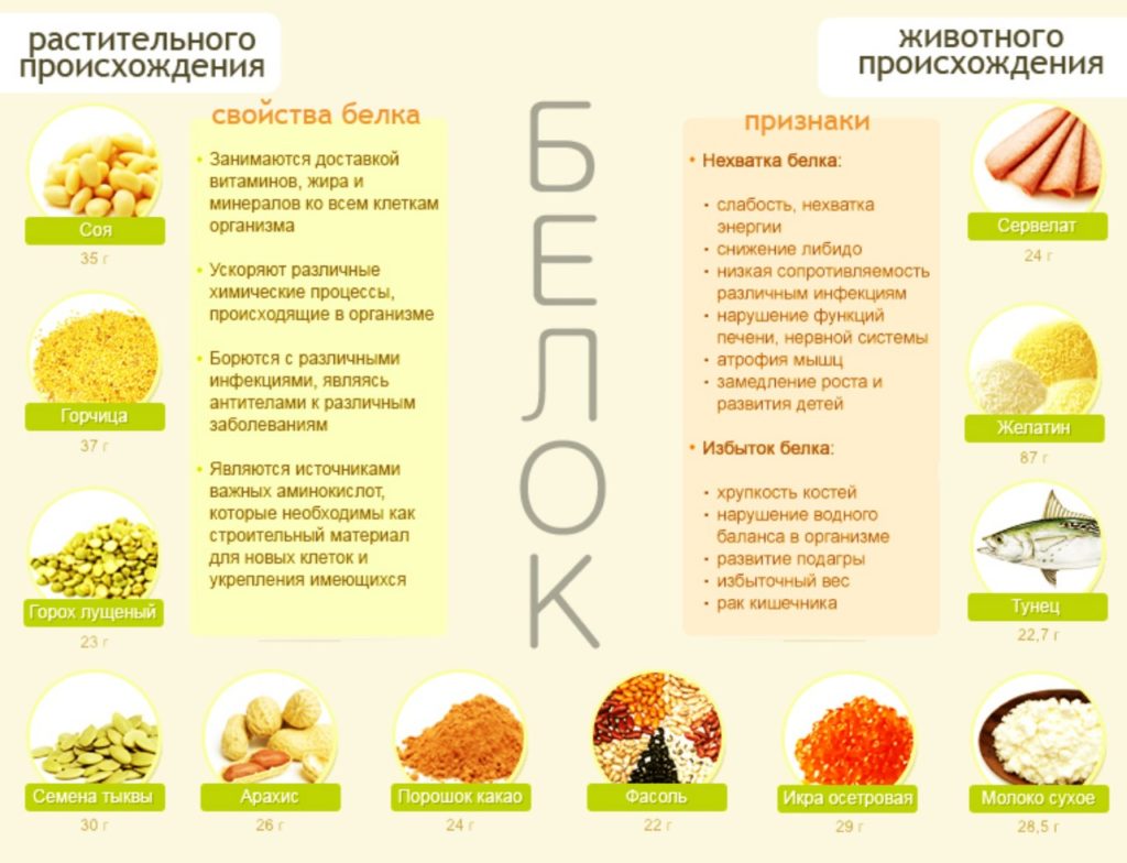 Белок растительного и животного происхожденияБелковые продукты