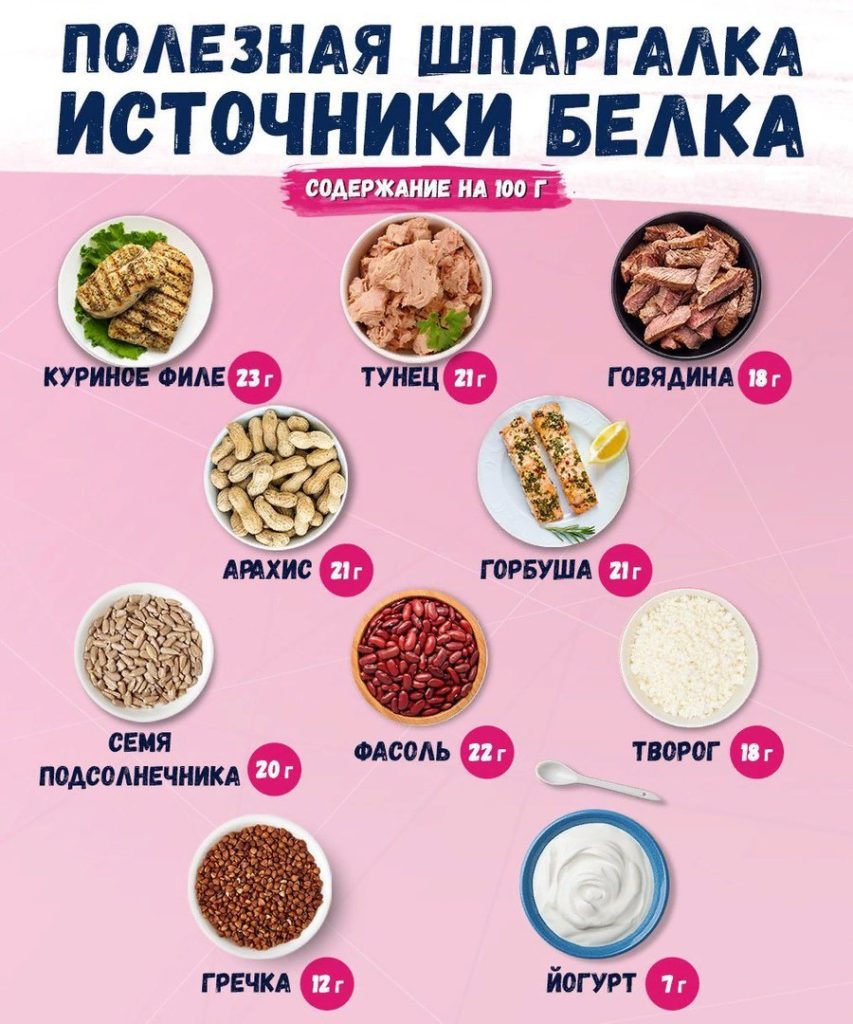 Источники белкаБелковые продукты