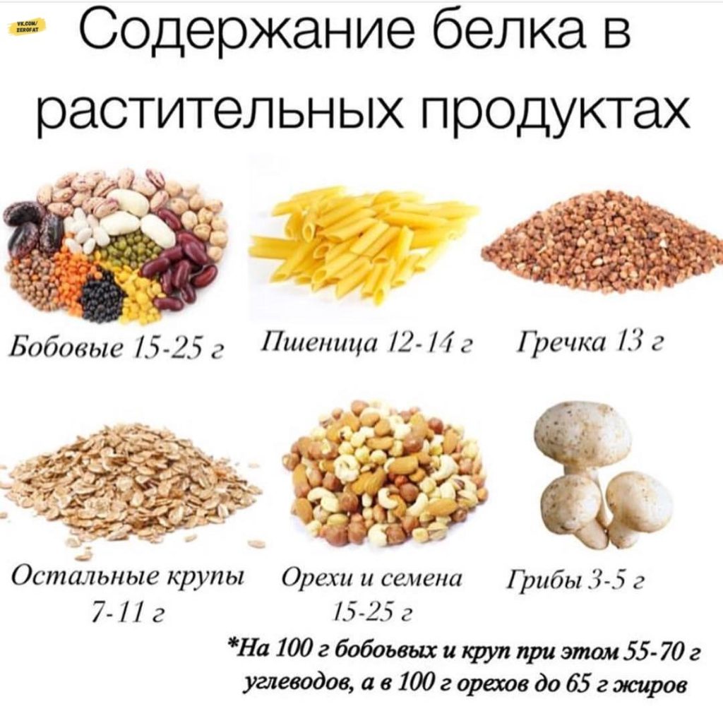 Содержание белка в растительных продуктахБелковые продукты