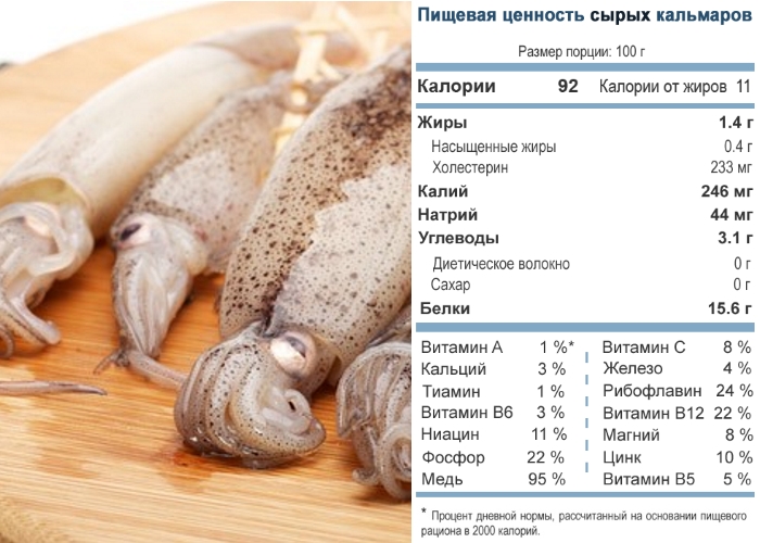 кальмары:энергетическая ценность и химический состав