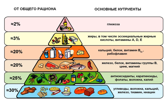 Сбалансированный состав пищи