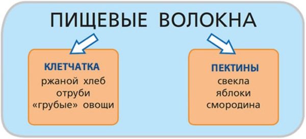 Функции пищевых волокон