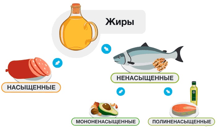 Жиры в питании человека: их разновидности