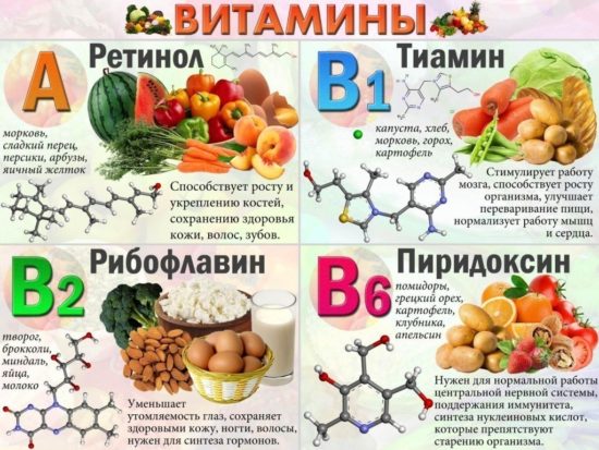 Витамины в продуктах питания