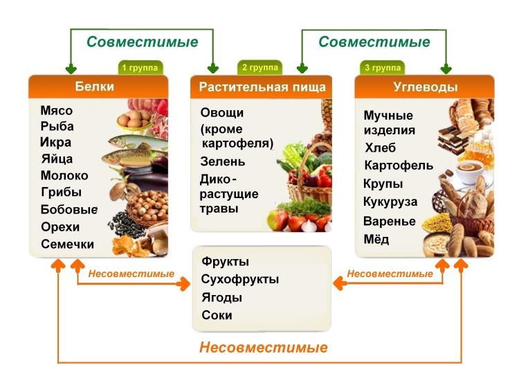 герберт шелтон раздельное питание