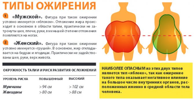 Влияние характера и количества жира на вес человека