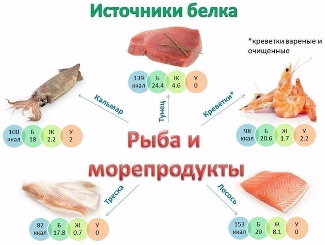 Сколько в день нужно белка: суточная норма и список богатых белком продуктов